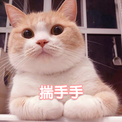 手手.jpg