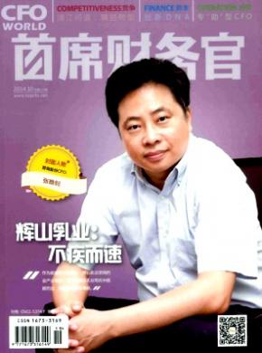 《首席财务官》
