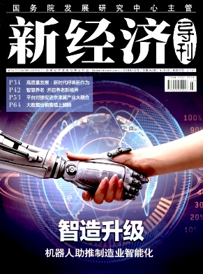 《新经济导刊》