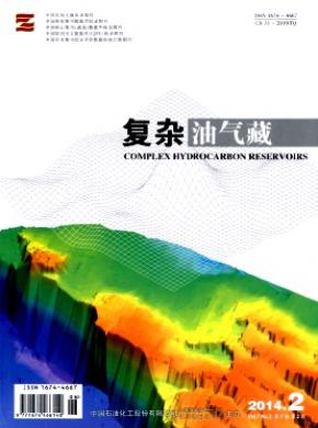 《复杂油气藏》