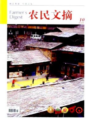 《农民文摘》
