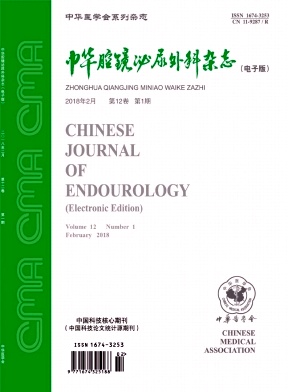 《中华腔镜泌尿外科(电子版)》
