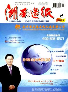 《湖南造纸》