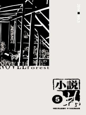 《小说林》