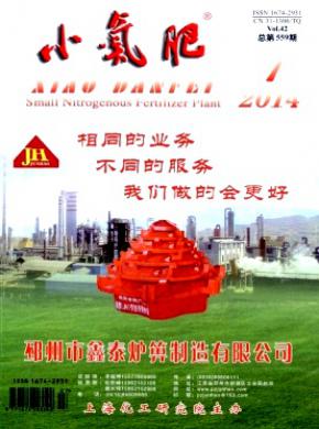 《小氮肥》