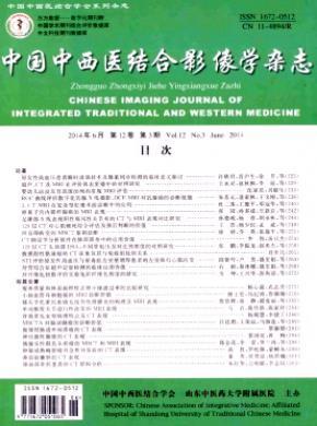 《中国中西医结合影像学》