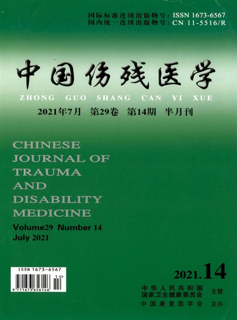 中国伤残医学杂志