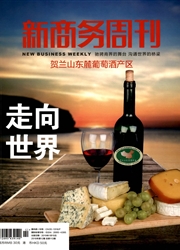 新商务周刊杂志
