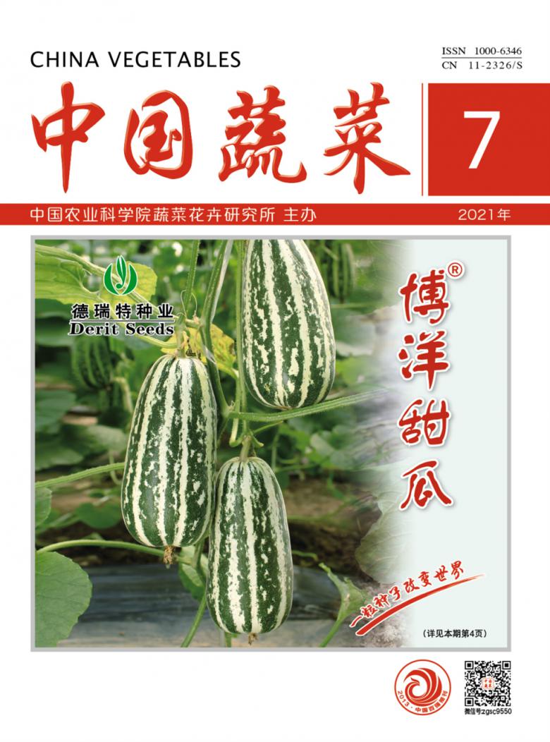 中国蔬菜杂志