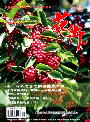 花卉杂志