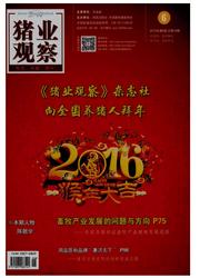猪业观察杂志