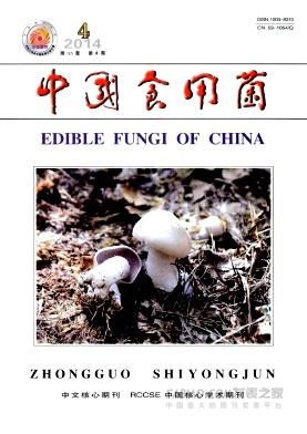 中国食用菌杂志