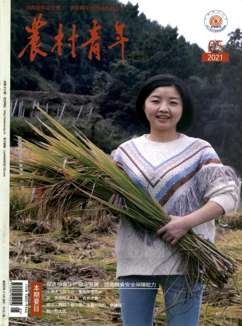 农村青年杂志