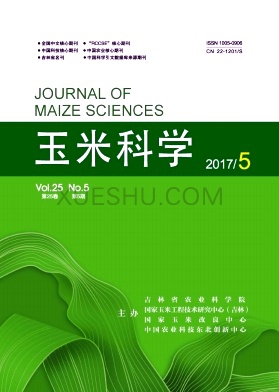 玉米科学杂志