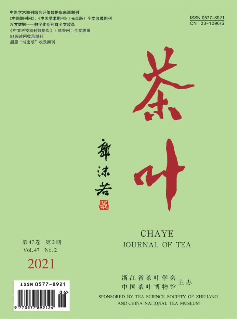 茶叶杂志