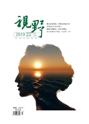 视野杂志
