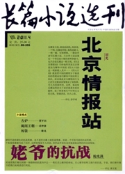 长篇小说选刊杂志