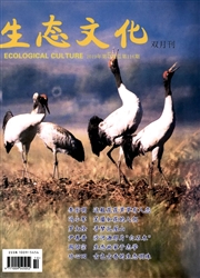 生态文化杂志
